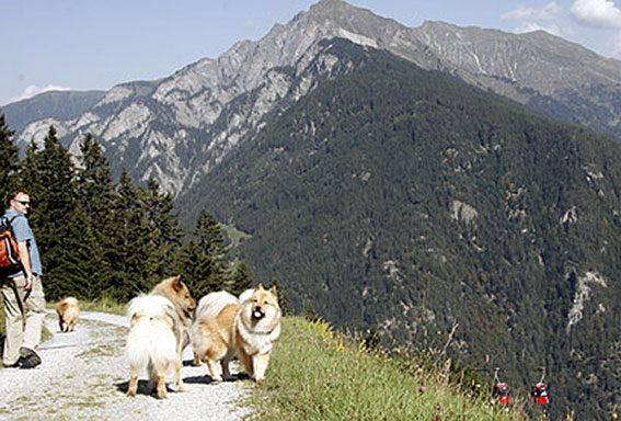 Aussicht3.jpg - Geschwister