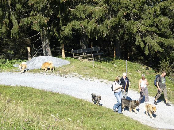 Bergab.jpg - Es geht bergab...