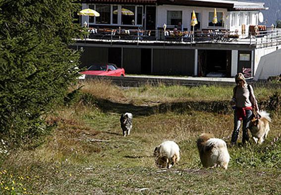 Familientreffen.jpg - Oben angekommen