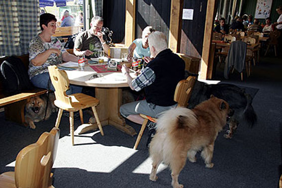 Restaurant.jpg - Gemütliche Runde