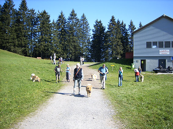 Start.jpg - Auf zur gemütlichen Wanderung