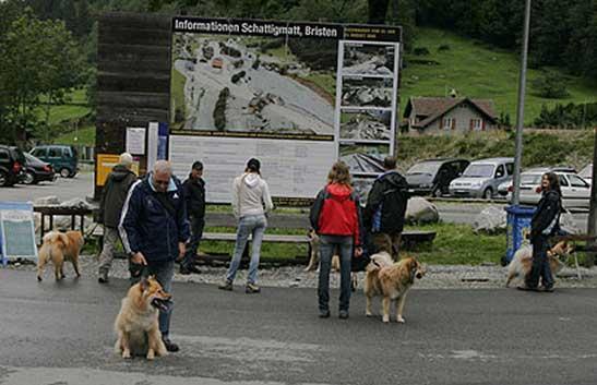 HochwasserInfo.jpg