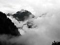 Nebel