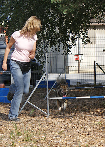 karin_chila.jpg - Chila, beim zweiten Durchgang von Karin begleitet