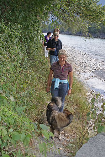 kolonne.jpg - Chila führt die Gruppe zurück auf den Wanderweg