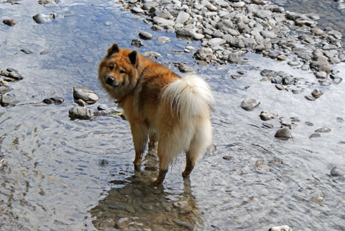 legro_fussbad.jpg - Legro