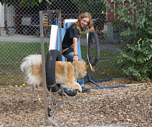 levka_ring.jpg - Levka und Hannah-Lea zeigten den Parcours vor