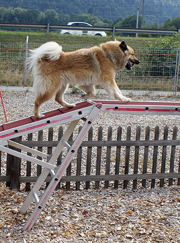 levka_steg.jpg - über die Passerelle