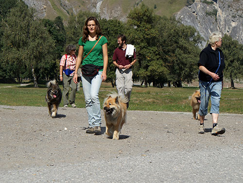 rueckweg2.jpg