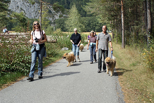 spaziergang.jpg - Eine fröhliche Runde