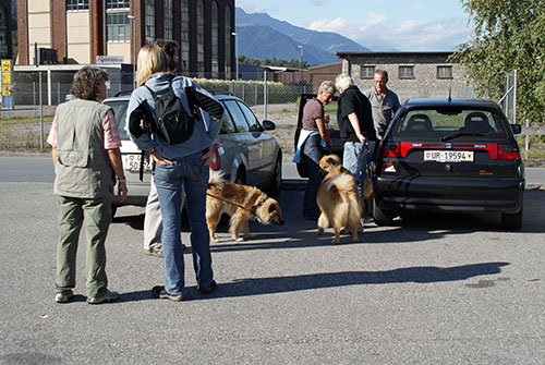 treffen2.jpg - Die Wiedersehensfreude war bei Zwei- und Vierbeinern sehr gross