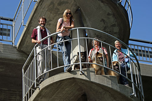 turm_quer1.jpg - Chila, Legro (da Frauchen fotografierte, ging er mit Susanne auf den Turm) und Limbo