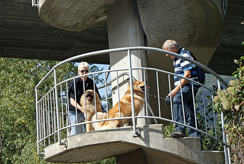 turm_quer2.jpg - Hier sind Lomex und Lasca