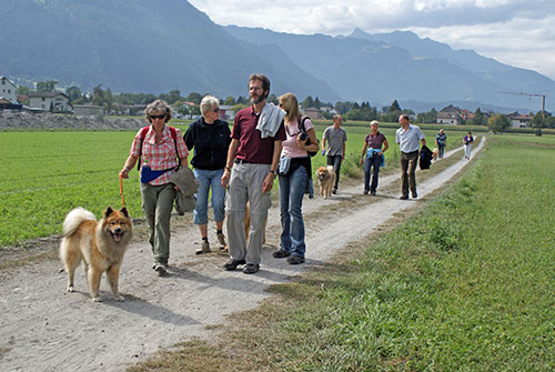 wanderweg.jpg - Auf dem Rückweg