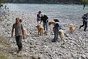 alle_am_rhein