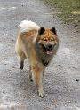 legro