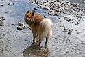legro_fussbad