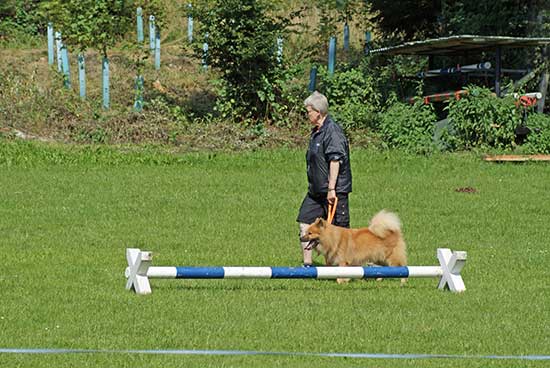 agility_4.jpg - Naja, nehmen wir einfach die niedrigen ...