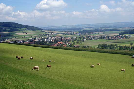aussicht1.jpg - Herrliche Aussicht oberhalb Rickenbach