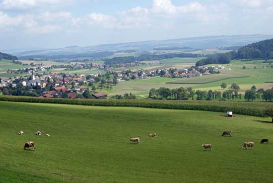 aussicht2.jpg - Hier gibt's noch viel Grünfläche