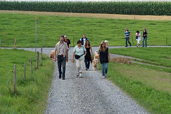 richtung_hoechweidwald.jpg - Vom Aussichtspunkt ging's Richtung Höchweidwald