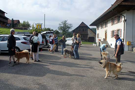 treffpunkt2.jpg - Mit von der Partie waren Lasca, Legro, Levka, Limbo, Lomex, Mama Chila sowie Halbbruder Kimbo