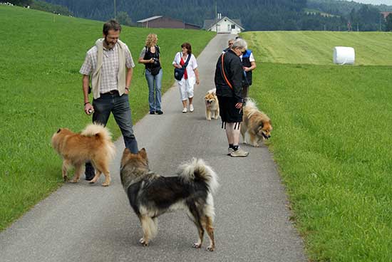 unterwegs_anfang.jpg - Für die Hunde gab's viel Interessantes zu erschnüffeln