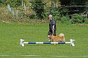 agility_4
