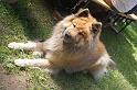legro