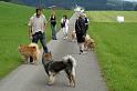unterwegs_anfang