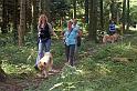wald