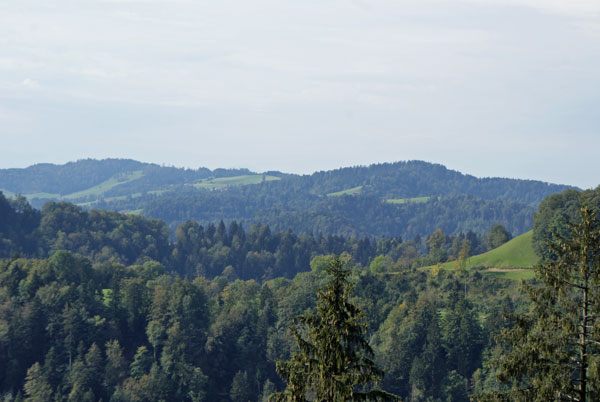 31_ausblick_waelder.jpg - Fantastischer Blick über die Wälder