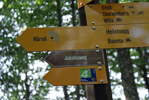 51_jakobsweg.jpg - Der Aufstieg zum Hörnli ist Teil des Jakobweges