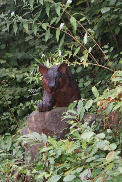 11_eurasischer_luchs.jpg - Eurasischer Luchs (kein Scherz!) - Kunstwerk von Holzbildhauer Thomas Jud