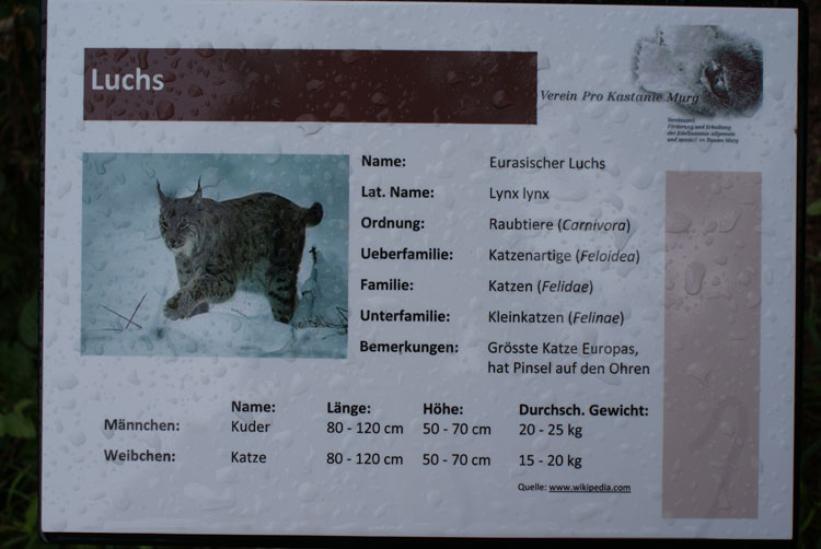 12_tafel_luchs.jpg - Der Namensbeweis