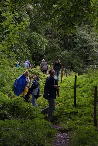 40_wanderweg.jpg - Mitten in der Natur