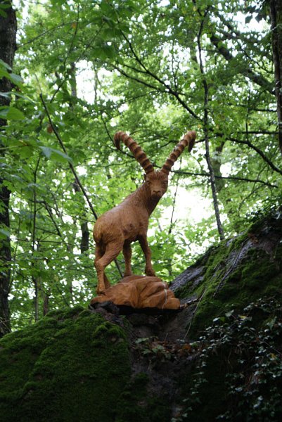 56_steinbock.jpg - Steinbock in Holz