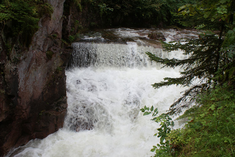 65_bach.jpg - Wasser - stark und...