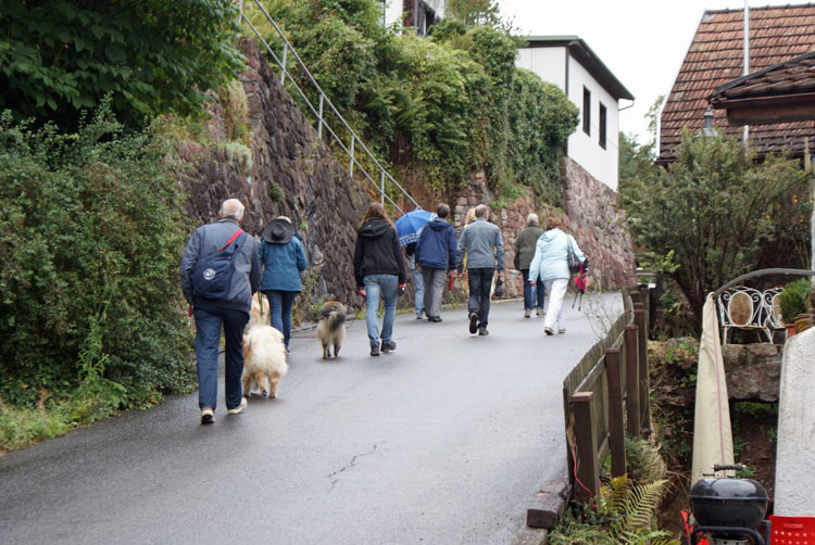 6_aufwaerts.jpg - Auf zum Kastanienweg