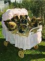 Kinderwagen