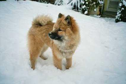 Wintersteh.jpg