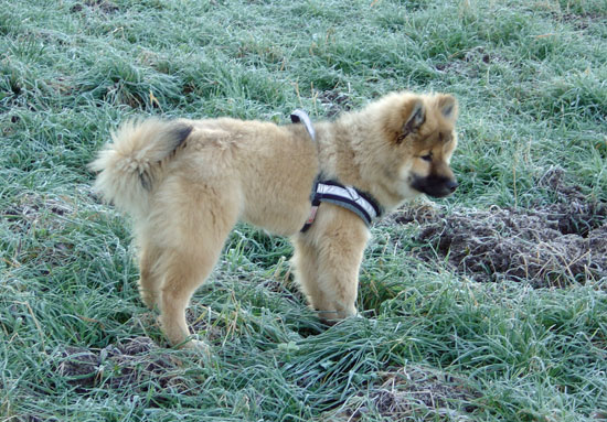 legro_2005_1.jpg