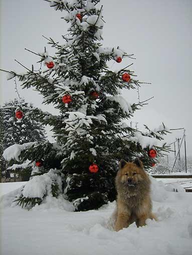 Weihnachten4.jpg