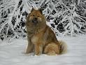 Winter4