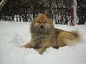 Winter4