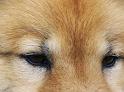 augen3