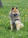 fruehling6