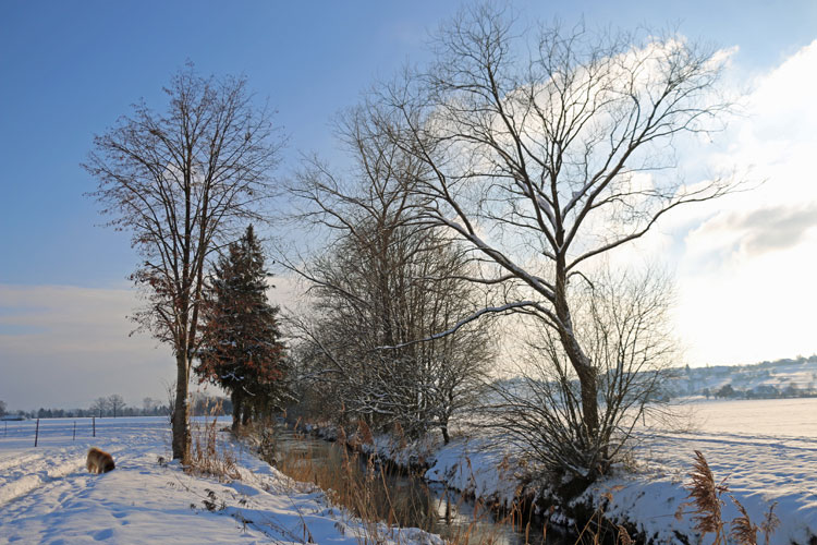 IMG_1828.jpg