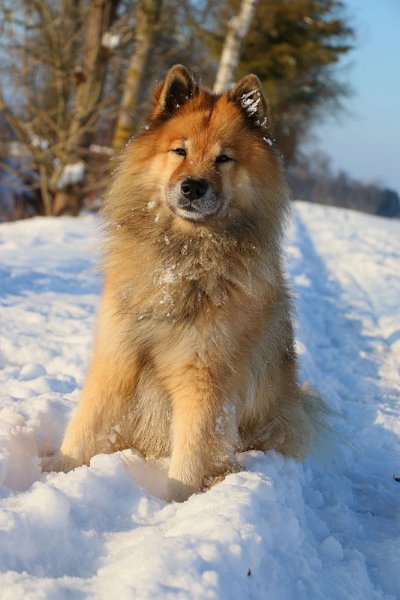 IMG_1885.jpg - So kann der Winter noch etwas bleiben