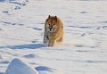 IMG_1701